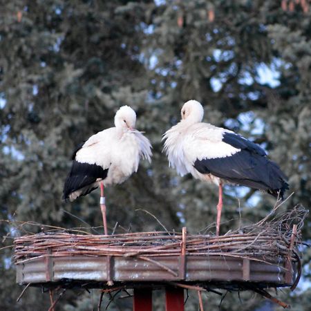 Ferienwohnung Am Storchennest In Burkau Exteriör bild